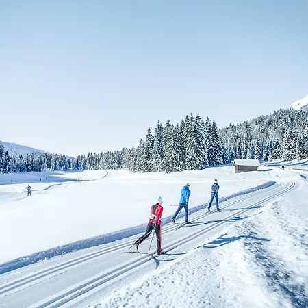 Hotel apartamentowy Torri Di Seefeld Seefeld w Tirolu